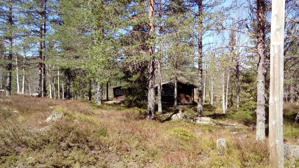Saeterasen Hytter & Camping Trysil Luaran gambar