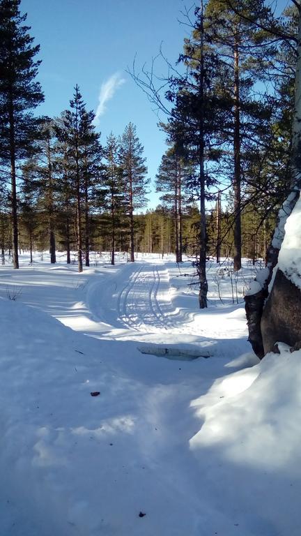 Saeterasen Hytter & Camping Trysil Luaran gambar